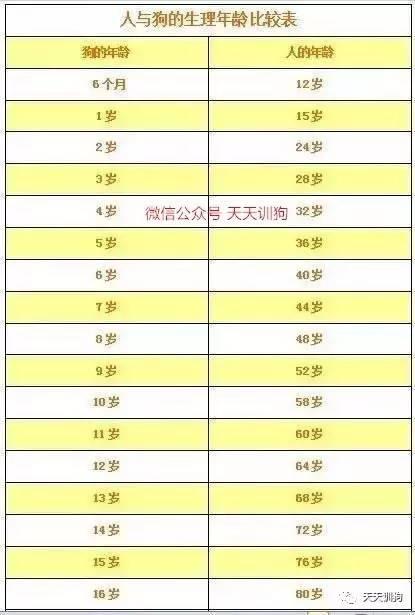 图文 阿拉斯加犬各阶段肩高体重 快来收藏 阿拉斯加幼犬体重 Www Chongwu56 Com