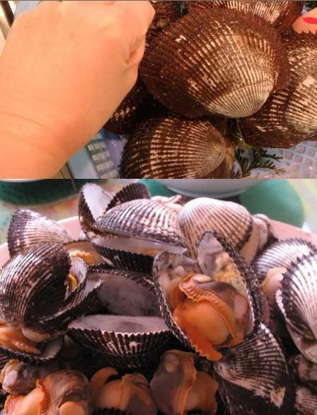 青岛海鱼的种类图片:潮汕海鱼的种类图片及名称 除夕，在青岛吃哪种鱼会比较有地域特色？