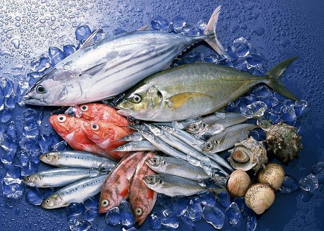 青岛海鱼的种类图片:潮汕海鱼的种类图片及名称 除夕，在青岛吃哪种鱼会比较有地域特色？