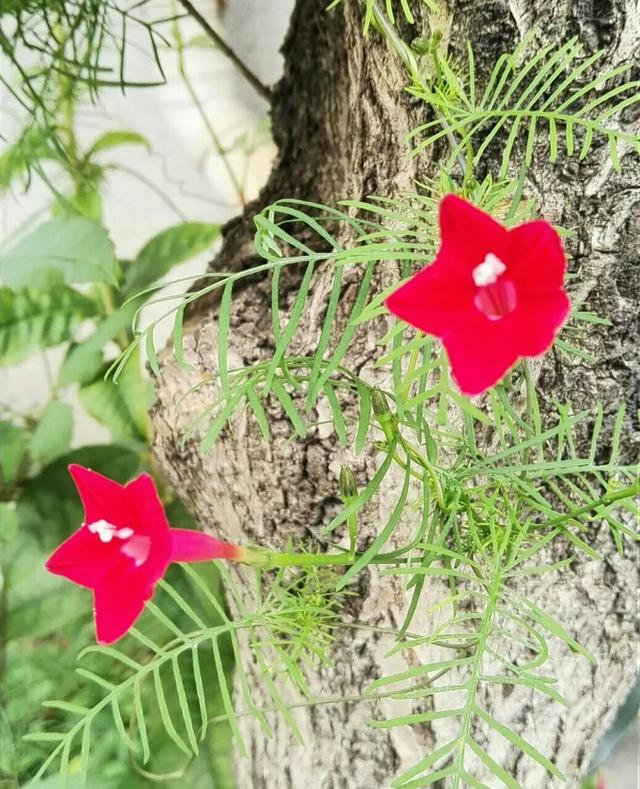 孩子开学一年级，老师要求每天孩子带水杯上学，有没有必要给孩子买一个豪华水杯？