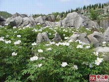 刘希平:安徽芜湖十景指的是哪十景