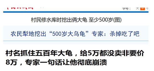 加拉巴哥象龟苗:龟真的能有千年万年的寿命吗？它们到底能活多久？