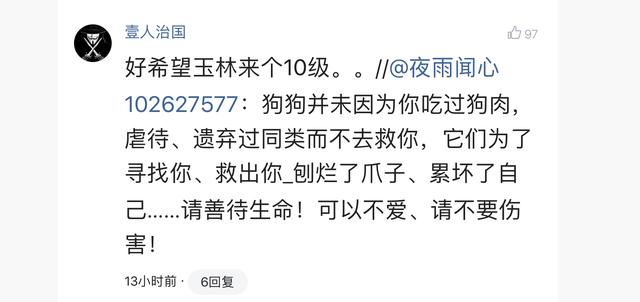 小狗被染成皮卡丘引争议:很多人因为有搜救犬，不让别人吃狗肉，那有搜救猪怎么办？