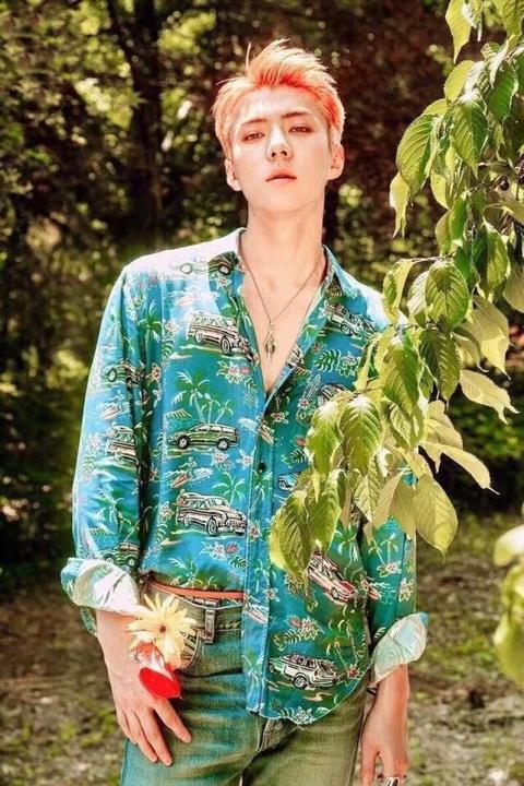 朴宥拉:如果有机会，你想成为exo哪位成员的姐姐(妹妹)？为什么？