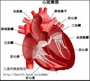 粉红色的液体药:咳出了粉红色泡沫痰是咋回事？