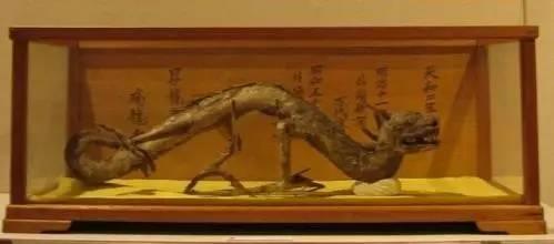 《走近科学》让你印象最深刻的一集是讲什么？