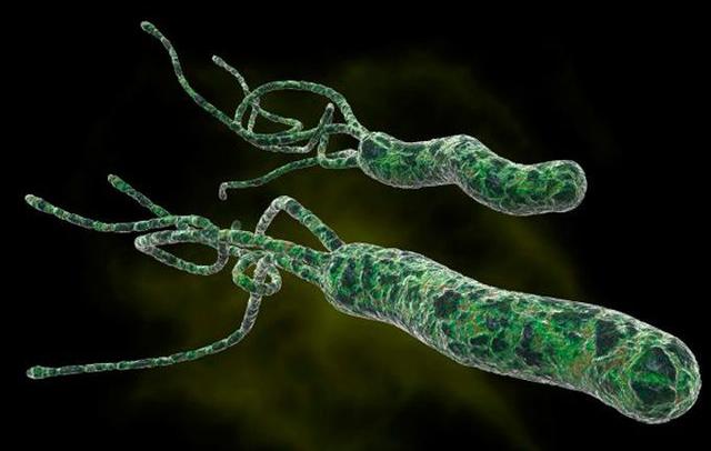 幽门螺旋杆菌70%的人都有，吃什么能消灭它？