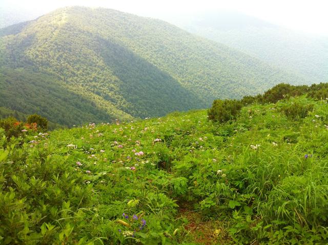 想去哈尔滨凤凰山旅游，这个地方怎么样？