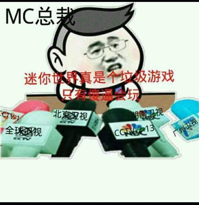 mc骂迷你世界的图片图片