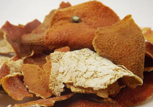 中国福犬视频直播:怎样做好狗狗的驱虫工作？ 中国之声视频直播
