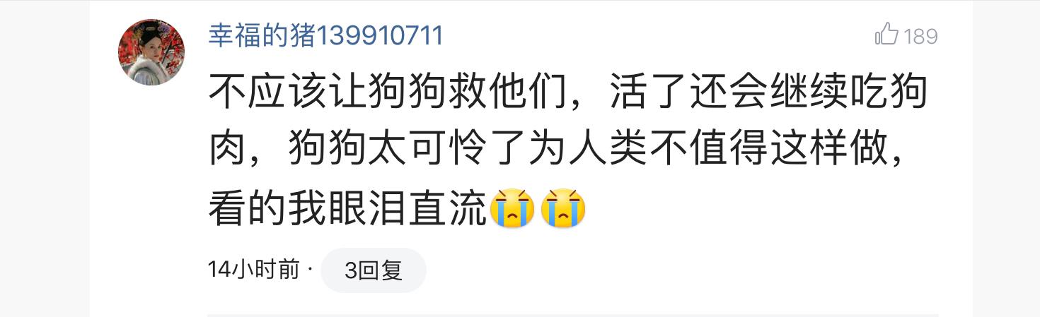 小狗被染成皮卡丘引争议:很多人因为有搜救犬，不让别人吃狗肉，那有搜救猪怎么办？