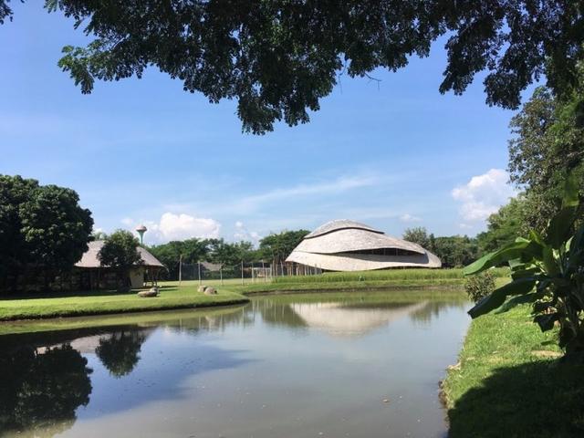 伯劳鸟架竹:为什么香港建筑工地很多都用竹子做外墙架？