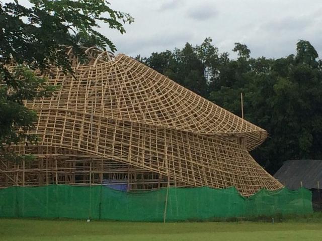 伯劳鸟架竹:为什么香港建筑工地很多都用竹子做外墙架？