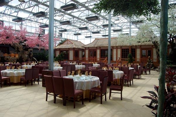 头条问答 - 在平遥开一家农家乐,有没有什么好的新农业公司推荐?