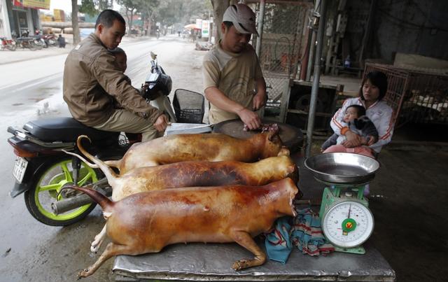 吃狗肉壮阳，狗肉到底有什么好处，为什么有那么多人爱吃狗肉？