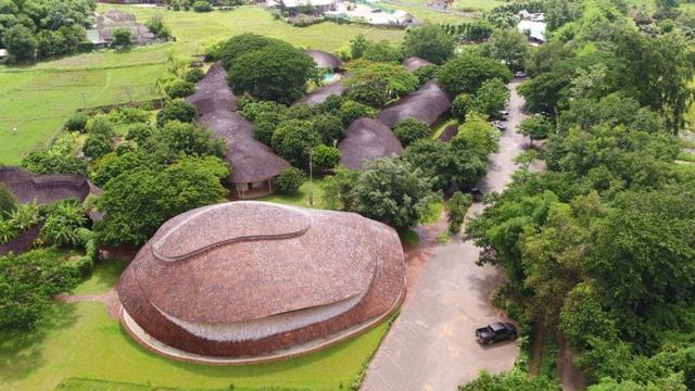 伯劳鸟架竹:为什么香港建筑工地很多都用竹子做外墙架？