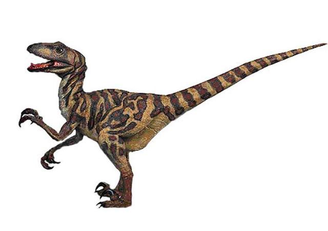 老虎和迅猛龙那个厉害