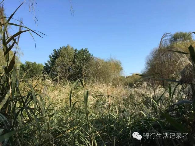 西安大明宫值得去吗,西安市区有哪些值得一去的公园？