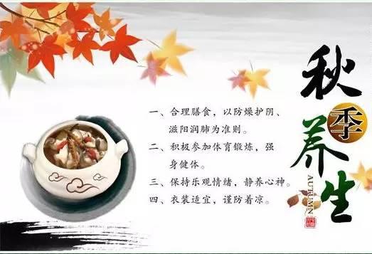 <a href=https://maguai.com/list/56-0-0.html target=_blank class=infotextkey>健康</a>养生微信公众号:教做菜的微信公众号有哪些？