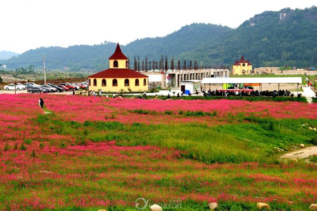 头条问答 - 绵阳江油盘龙岛好玩吗?(10个回答)