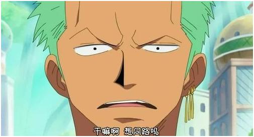 不死鸟果实:如果索隆也吃了恶魔果实，你认为什么果实比较适合他？