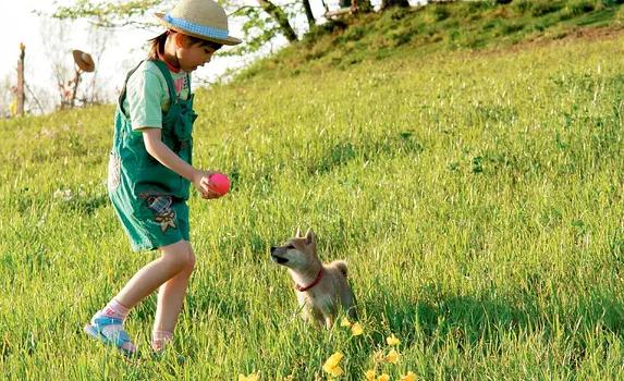 老人与雪橇犬的电影:《野性的呼唤》这部电影好在哪里？