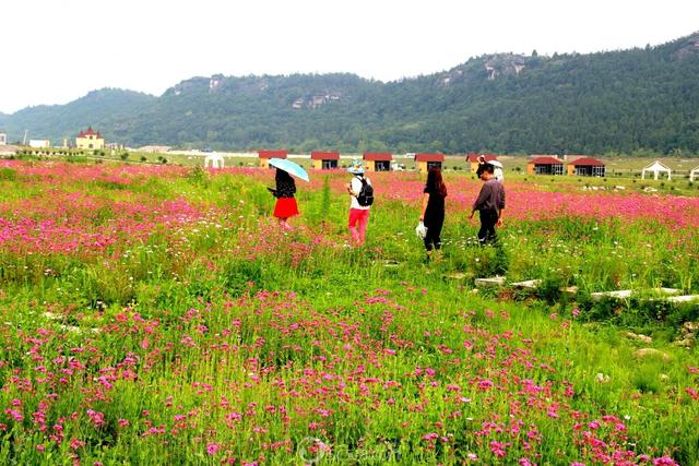 头条问答 - 绵阳江油盘龙岛好玩吗?(10个回答)