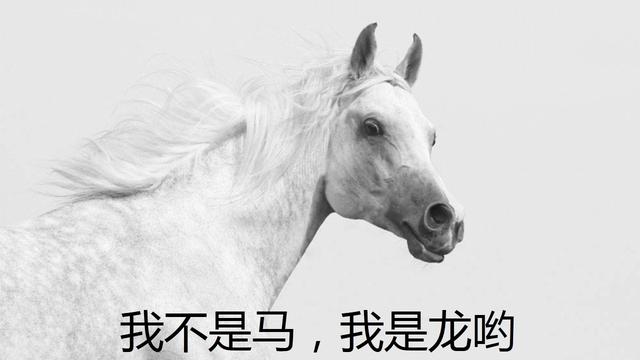 你们怎么看待公孙龙“白马非马”的论点？