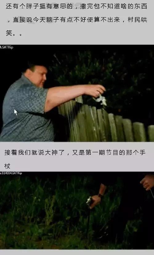 油管灵异事件怎么召唤:麦田怪圈到底是人为恶搞还是地外文明的杰作？