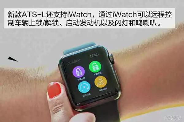 小尺寸蓝眼皇冠豹:有哪些30万左右推荐买的车？