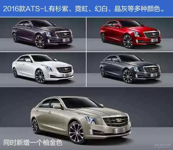 小尺寸蓝眼皇冠豹:有哪些30万左右推荐买的车？