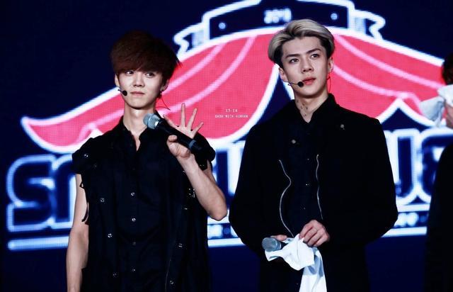 芦苇们支持陆地cp吗