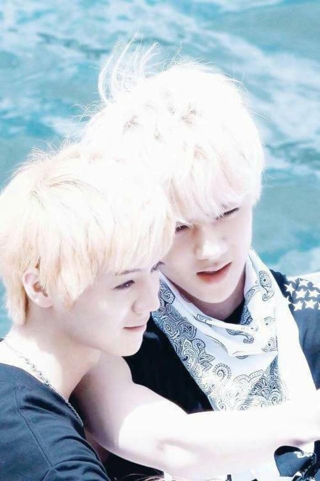 芦苇们支持陆地cp吗