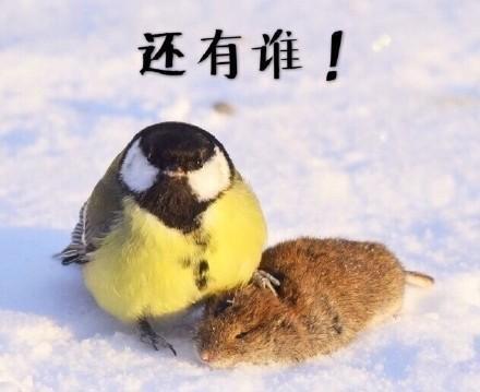 <a href=https://maguai.com/list/256-0-0.html target=_blank class=infotextkey>朋友圈</a>表白技巧:你见过最浪漫的表白方式是什么？
