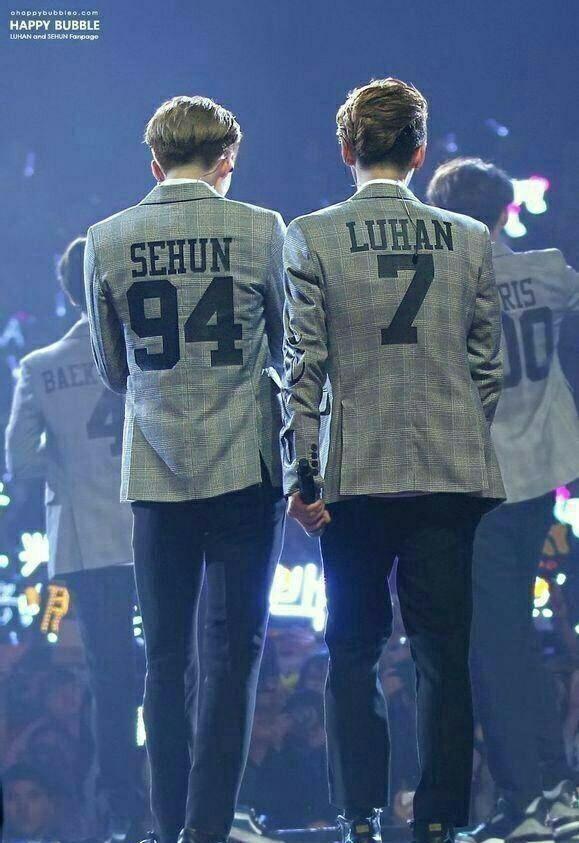 芦苇们支持陆地cp吗