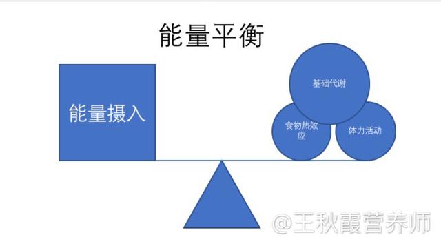 所谓卡路里,热量,能量,脂肪,蛋白质,碳水化合物有什么区别？