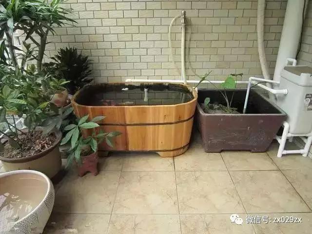 宠物cg鲨鱼型号规格:cg鲨鱼品种大全 自己砌一个宽1米，长3米的小鱼池，需要哪些工具和材料？