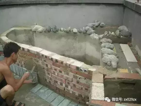 宠物cg鲨鱼型号规格:cg鲨鱼品种大全 自己砌一个宽1米，长3米的小鱼池，需要哪些工具和材料？