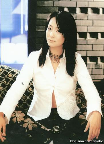 高晓松老婆沈欢:娱乐圈结了婚很快离婚的夫妻有哪些？