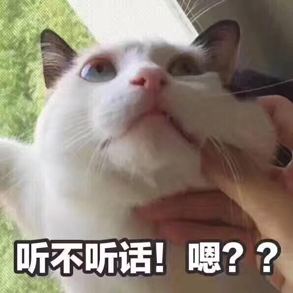 二手袜子<a href=https://maguai.com/personal/ target=_blank class=infotextkey><a href=https://maguai.com/group/ target=_blank class=infotextkey><a href=https://maguai.com/personal/ target=_blank class=infotextkey><a href=https://maguai.com/group/ target=_blank class=infotextkey>微信群</a></a></a></a>:你会为你的孩子买二手闲置物品嘛？