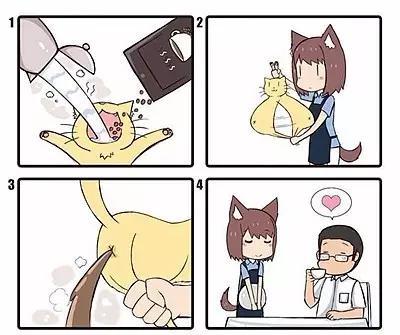 苏门答腊麝香猫:猫屎咖啡真是猫的便便吗？