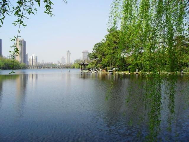 南帝北丐2(南帝北丐22集完整版)