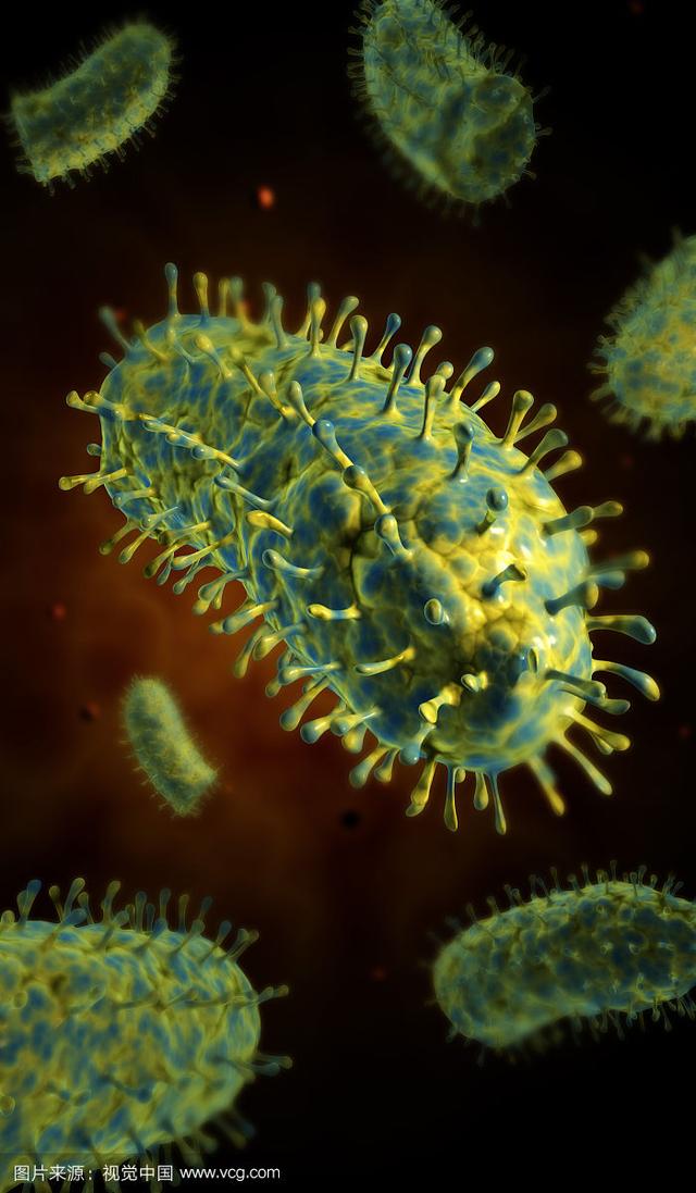 人奶喂狗:人奶喂狗猴 狗不能吃人吃的饭是不是卖狗粮的阴谋？
