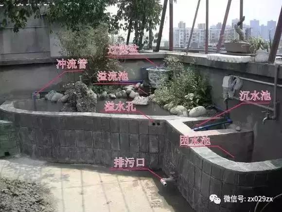宠物cg鲨鱼型号规格:cg鲨鱼品种大全 自己砌一个宽1米，长3米的小鱼池，需要哪些工具和材料？