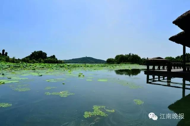 无锡有哪些免费公园？插图8