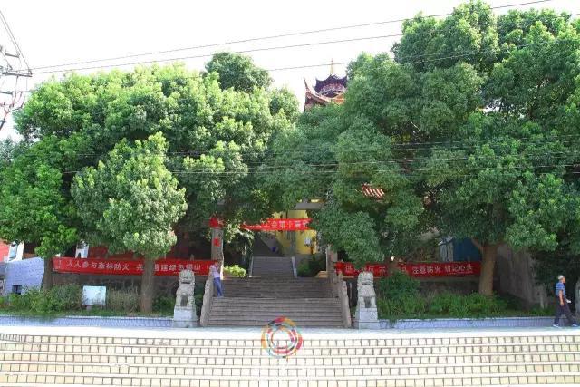 无锡有哪些免费公园？插图11