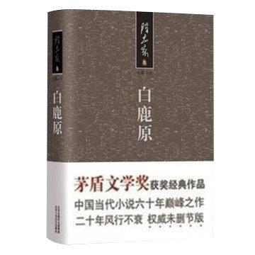 你觉得最值得看得中国当代小说是什么？