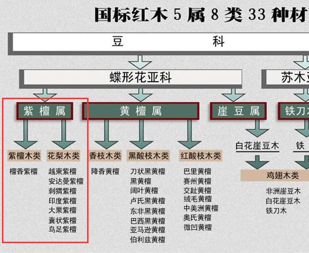 非洲迷你刺猬公和母哪个更大?:非洲迷你刺猬跑轮必要吗？