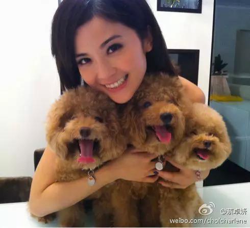 郑中基与蔡卓妍:郑中基和阿Sa为什么离婚？