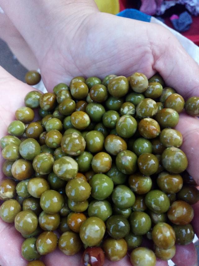 信阳特色美食鸡头籽是什么东西？